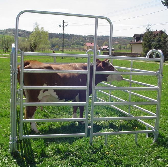 Barres à boeufs