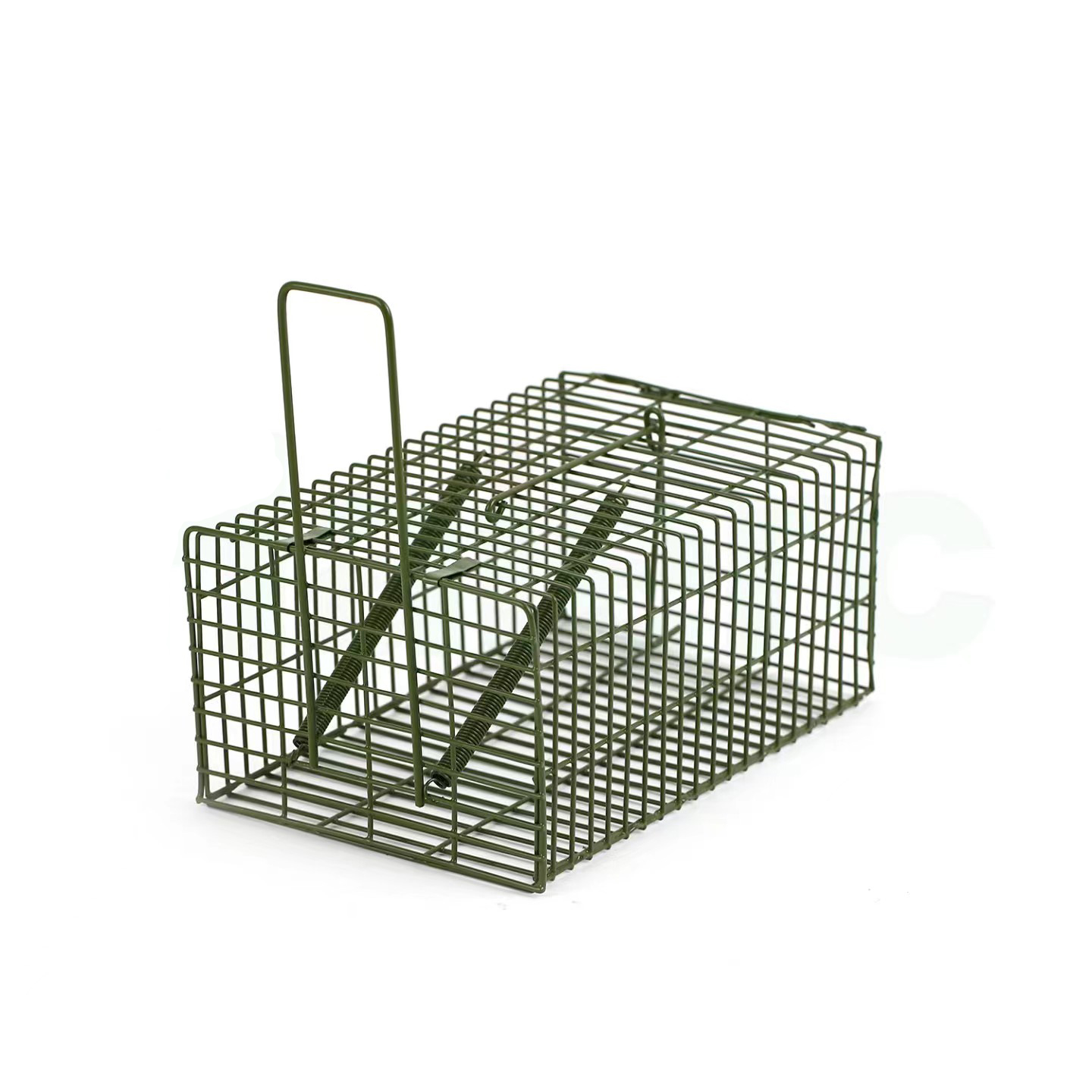 Cages à rats